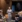 OBS // CKL shoot fra 2025 - og hvor billeder med modeller - udløber per 1. april 2030