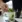 Frisk mojito med mynte og lime pyntes af bartender