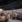 Stort konferencepublikum samlet i moderne auditorie