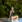 Spashoot_2023