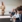 Professionelt møde med præsentation og deltagere i konferencelokale