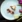 Elegant dessert med rabarber, marengs og friske tulipaner