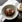 Chokoladedessert med blommer og cremet chokoladedrink