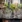 Elegant restaurant bordopsætning med levende lys og blomster