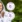 Vinder og nomineret ved Danish Beauty Award 2024